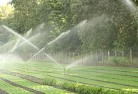 Memagonglandscaping-water-management-and-drainage-17.jpg; ?>